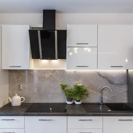 Apartament Udanypobyt Silver Centrum *